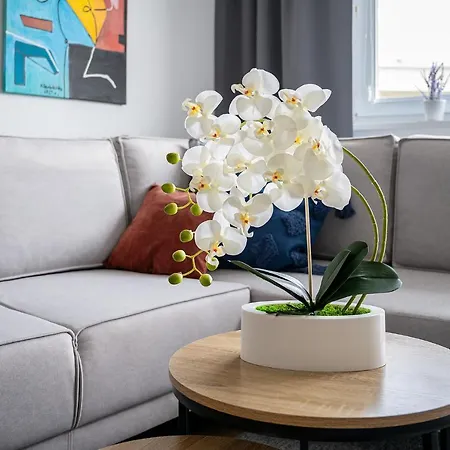 דירה Wrzeciono 12 - Piekny Apartament Obok Szpitala Bielanskiego Oraz Awf, Bezplatna Strefa Parkowania - 400m Do Stacji Metra - Good ורשה